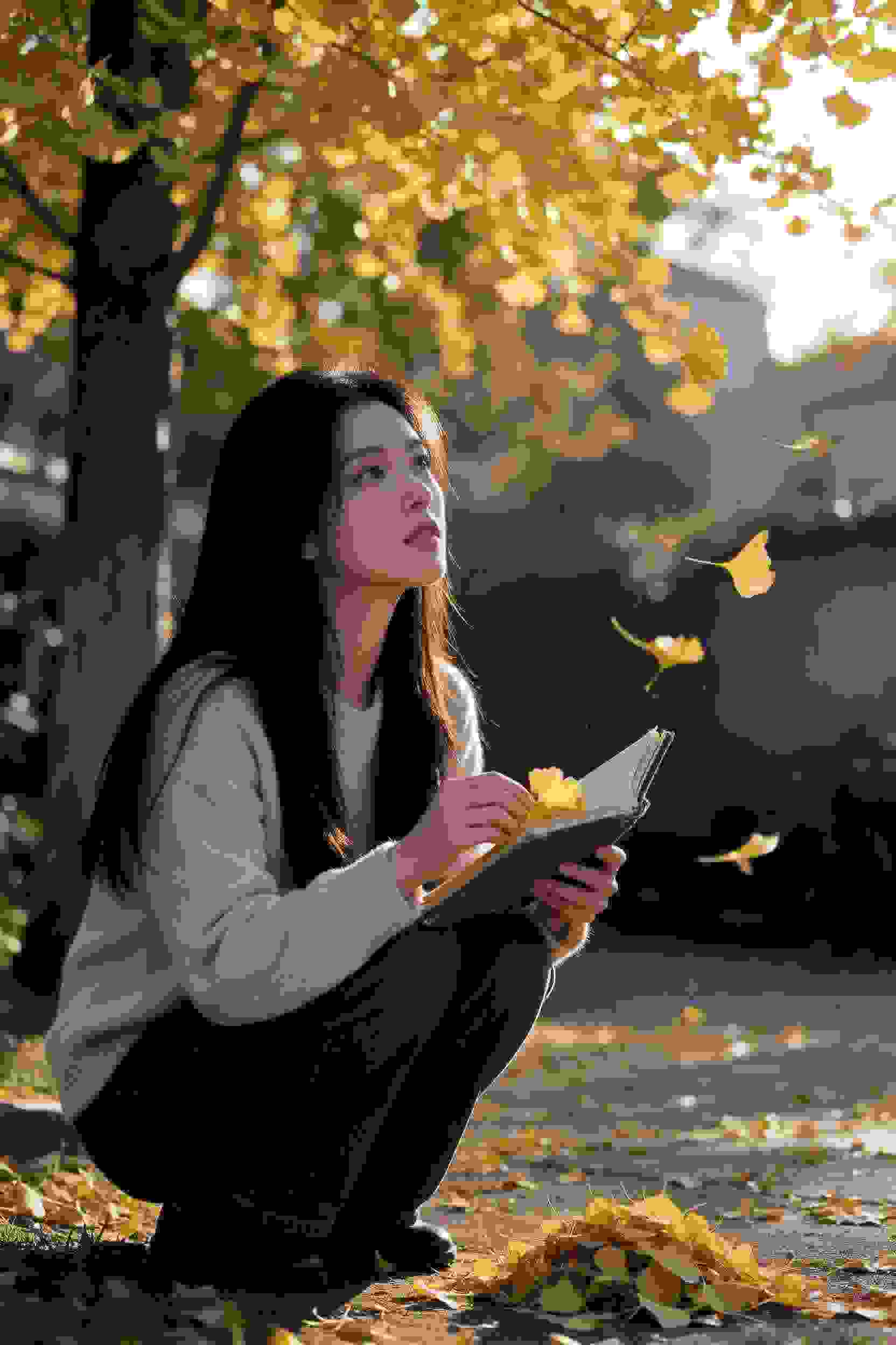 春季热门动画